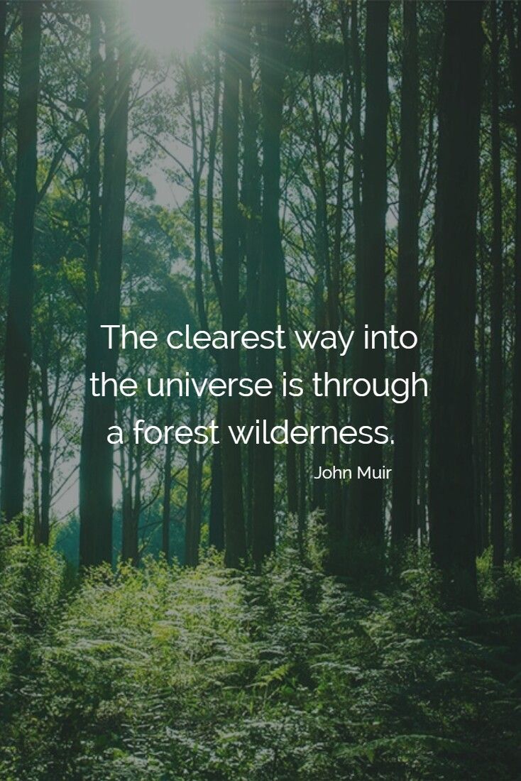 Свет в конце тоннеля. The way out is through. The way out is through. The way out is through. The way out is through.