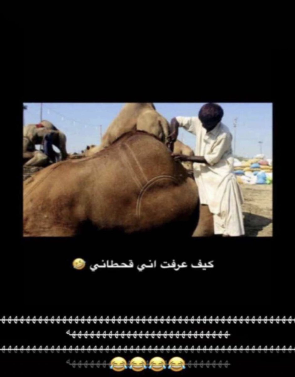 pq803's tweet photo. #بن_دغيثر

اللي بيشوف المذلة عانوها في وجيه القحابين اللي مافيهم رجال اقدم ، ذا قدركم يالزيود حلاقه ومهايط ولا بالفعول والله ي انكم مثل خواتكم .. 😜😜🤣🤣🤣🤣🤣 https://t.co/FWDQlX4TCE