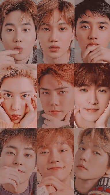 ExoMayelin's tweet photo. https://t.co/LALdY8GNl3