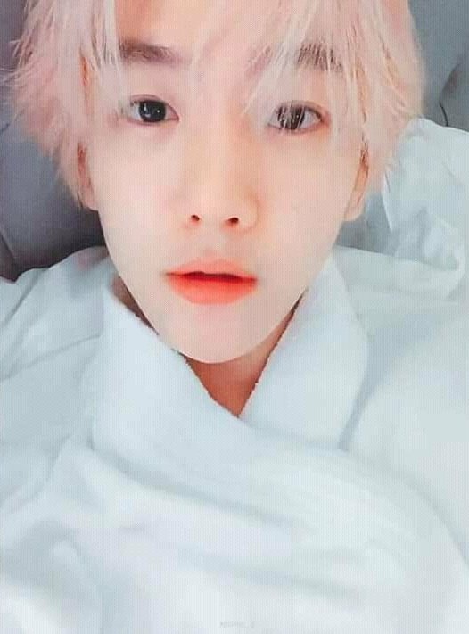สายลับพี 🐶🐨🤖 tweet media
