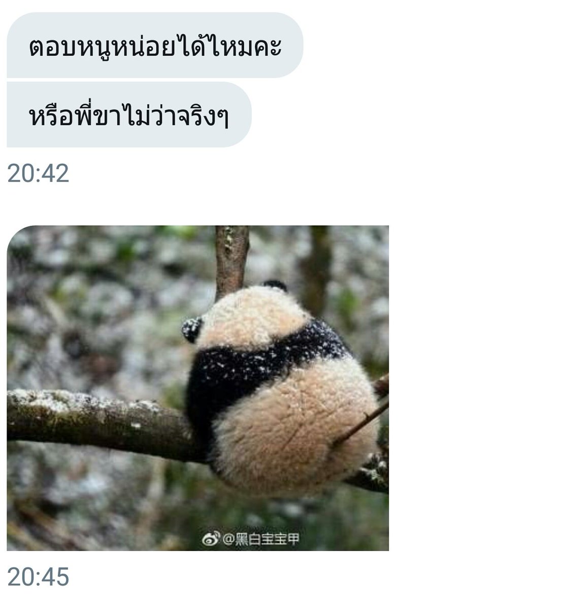 ขิงเด็กของพี่ขา❤🌈 tweet media