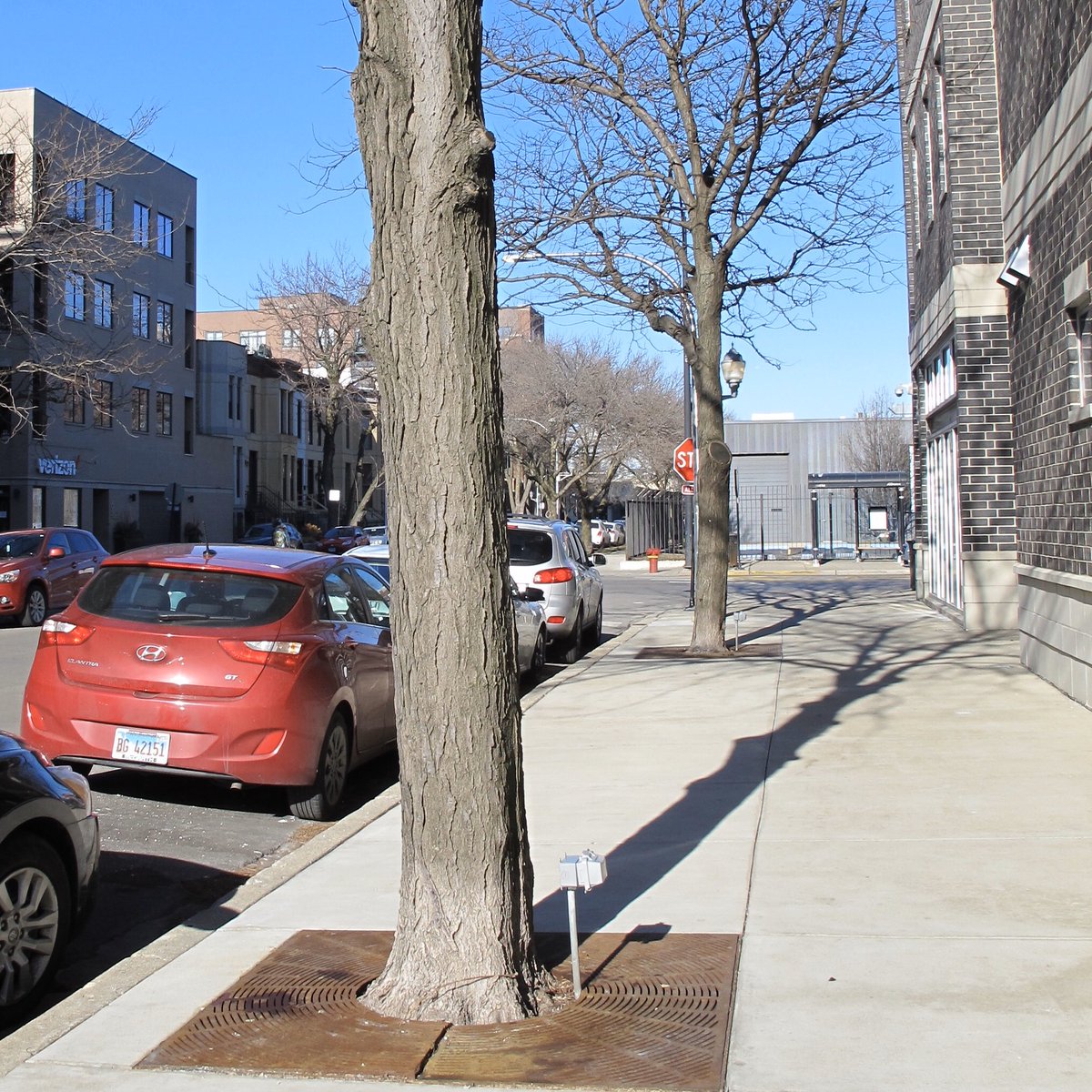 TREE_Fund's tweet photo. We ask a lot from urban trees, yet we often provide them with  only the minimum requirements to exist. What can be done to help them? Find out by registering for Dr. Bryant Scharenbroch’s Jan. 14 webinar, “Soil Assessment for Urban Trees” 🌳🏡🧪 #treefund https://t.co/fEtUabA7uu