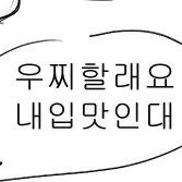 #새프로필사진