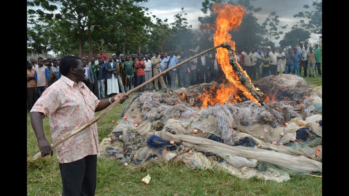 Awamu_ya_6's tweet photo. Serikali ya awamu ya Tano imefanikiwa kuondosha suala la uvuvi haramu kupitia oparesheni za ufuatiliaji wa uvuvi katika bahari ya Hindi, ukanda wa Ziwa Victoria, Ziwa Tanganyika, Bwawa la Nyumba ya Mungu na Mtera jambo lililopelekea hivi sasa kupatikana kwa samaki wenye viwango. https://t.co/mloEpWd2Of