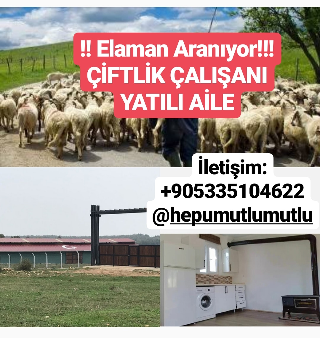 HepUmutluMutlu's tweet photo. Eleman Aranıyor... #İşİlanı

https://t.co/U0sDJXruQK https://t.co/AmAEkixhBR