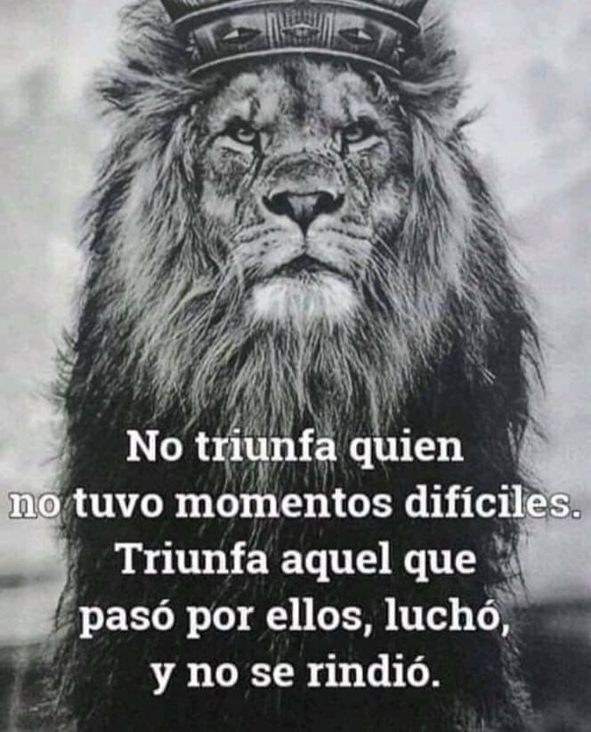 Gregoriodalbon's tweet photo. No fuiste la Morsa. 

No tuviste que ver con el triple crimen. 

Hicieron un programa para que pierdas la Gobernación con la inepta. 

Yo no sé mucho de quedar bien o mal. 

Yo sé de poder. 

Vos sos gestión siempre.

El poder está para ejercerlo con los mejores. Vos sos uno. 👇 https://t.co/fQQsmH0Ezu
