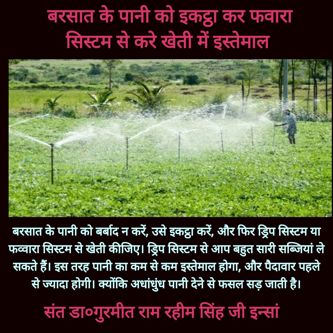 MohilEr's tweet photo. Following tips given by Saint @Gurmeetramrahim Ji to #SaveWater in homes and agriculture, dera followers are doing their bit to conserve water https://t.co/sQwwoDoYz3