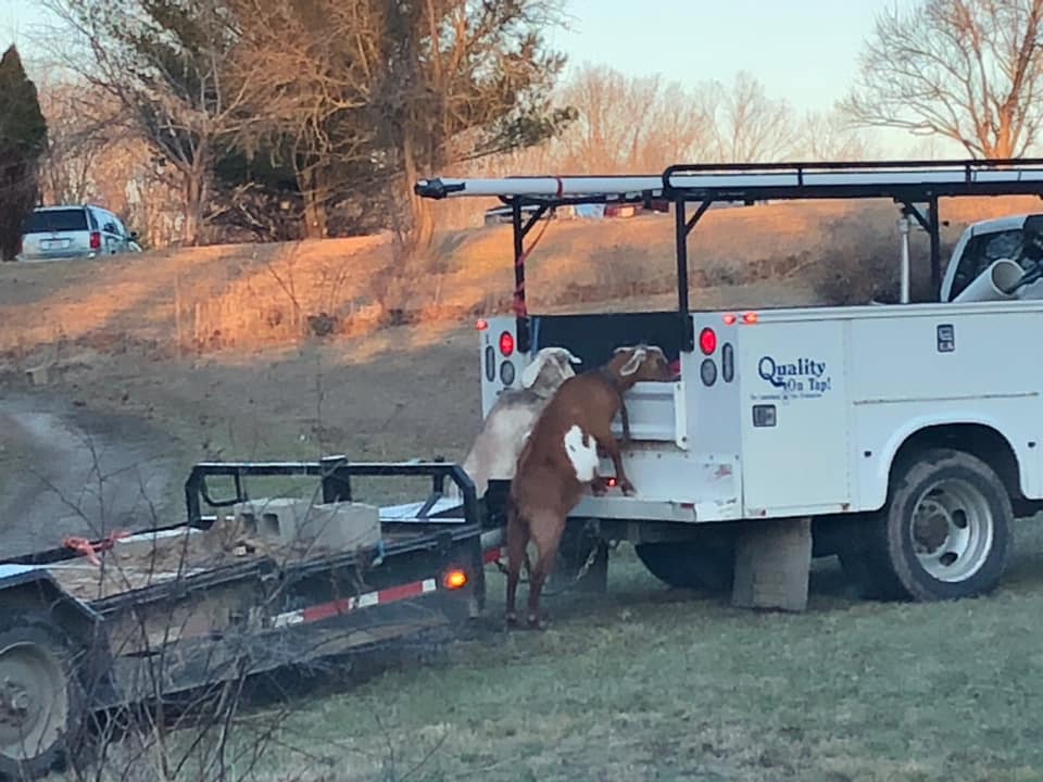 OhioRuralWater's tweet photo. From our member system Le-Ax Water, and the comment from the Le-Ax General Manager “Just further proof there is a shortage of qualified operators. My newest hires showed up today.” #ruralwater #ORWA #Fun https://t.co/WcJUpIeOOl