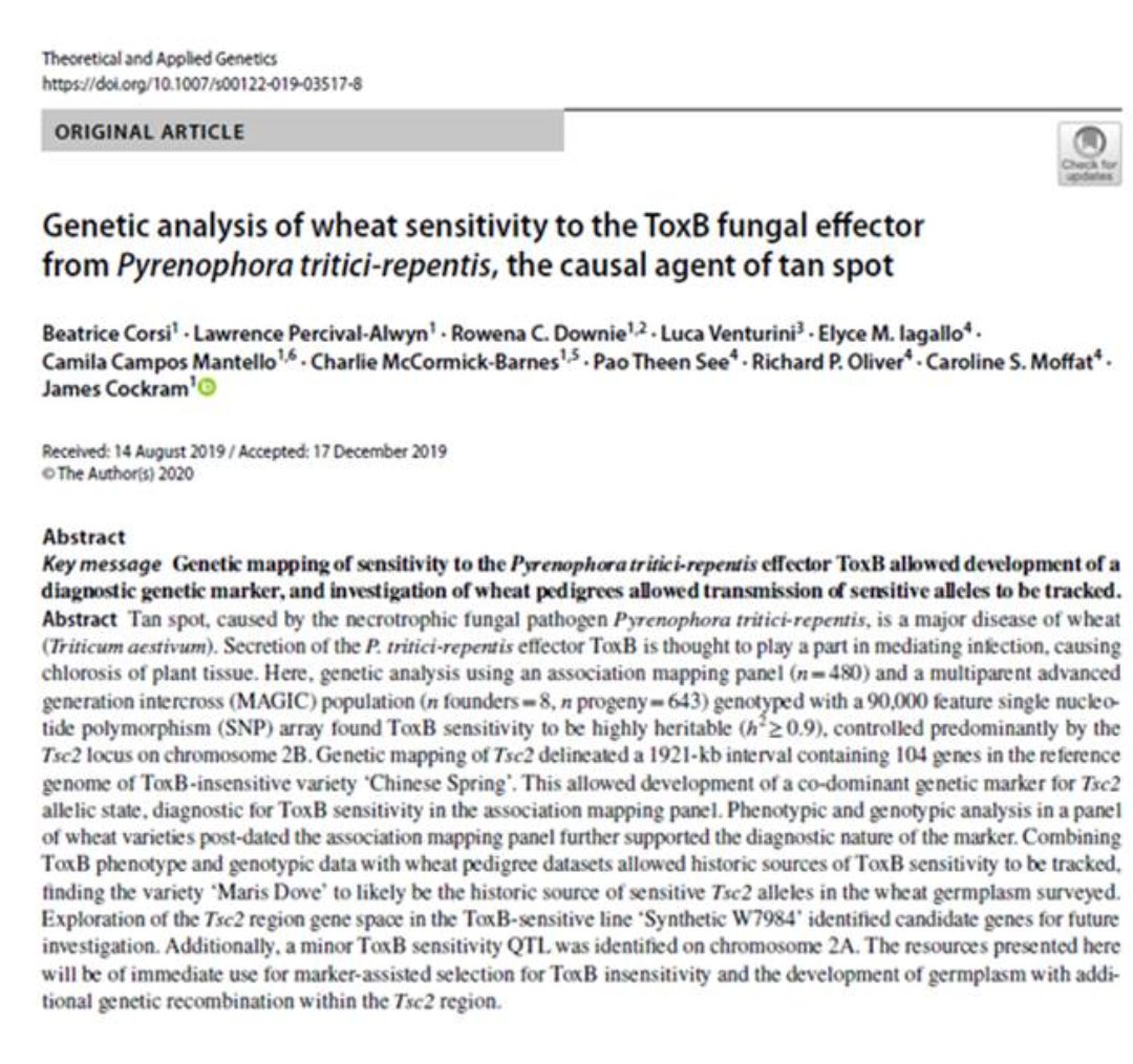 beatrice180987's tweet photo. Our paper is finally out! @james_f_cockram
@camilamantello @Rowena_Downie
@james_f_cockram @RichardPOliver
"Genetic analysis of wheat sensitivity to the ToxB fungal effector from Pyrenophora tritici-repentis, the causal agent of tan spot".Open Access: https://t.co/DsYgBa83ZK https://t.co/qgjvfvCPa8