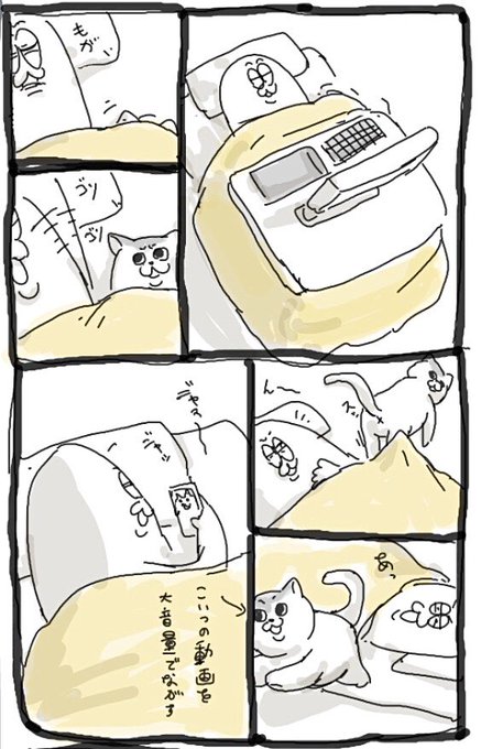 寝正月記録 
