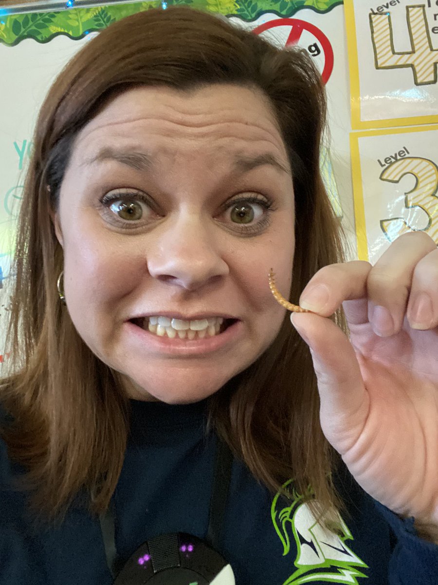 kari_klatt's tweet photo. Our #QuestionOfTheDay turned into a bug buffet! 🐛🦗 #yummy #kidslovedit #tegacaytitans https://t.co/4MsbPF8yiM