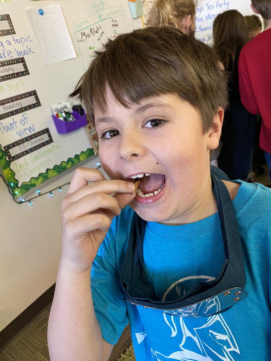 kari_klatt's tweet photo. Our #QuestionOfTheDay turned into a bug buffet! 🐛🦗 #yummy #kidslovedit #tegacaytitans https://t.co/4MsbPF8yiM
