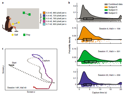 While pursuing virtual prey, monkeys predict the prey’s upcoming movements, and neurons in the dorsal anterior cingulate cortex tracked prey position, velocity, and acceleration to facilitate these predictions go.nature.com/2Qt2ubx