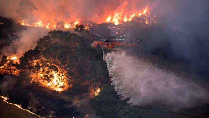 EnviroWorld_net's tweet photo. Australian ecologist estimate that 480 mammals, birds and reptiles have been lost due to the Australian bushfire and over 5.5M hectares burned and more than 1400 homes destroyed.#BushFireCrisisAustralia #bushfires #ClimateChangeIsReal #ClimateChange #AustraliaFires #SaveAustralia https://t.co/10j4IIIjil