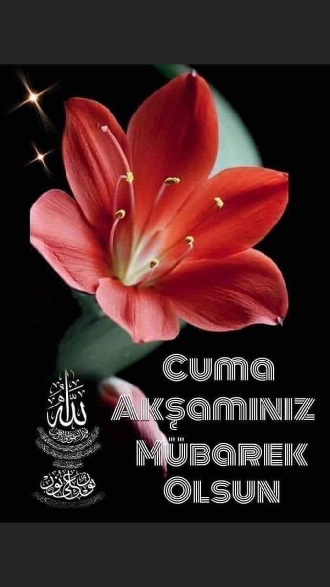 sevimcelikkan's tweet image. 