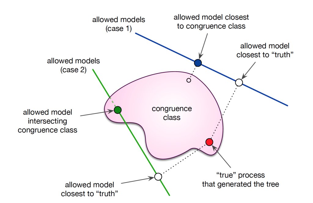 TheorEcolBlog's tweet photo. Can we simultaneously infer time-varying speciation and extinction rates from extant phylogenies? https://t.co/LYjmRjkGIp https://t.co/J6gnKhHUsF