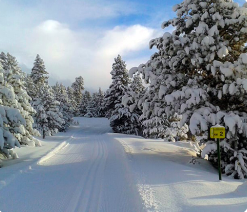 CEC_cat's tweet photo. Demà es tanquen les inscripcions pel cap de setmana a la #Cerdanya, amb l'objectiu de participar en la 28a Marxa Pirineu Marxa Pirineu.
Participa amb #marxes de caràcter popular i gaudeix de l'ambient i l'entorn de les estacions d'#esquínòrdic.
https://t.co/rZBFBs4nCy https://t.co/v4ZeNr90yK
