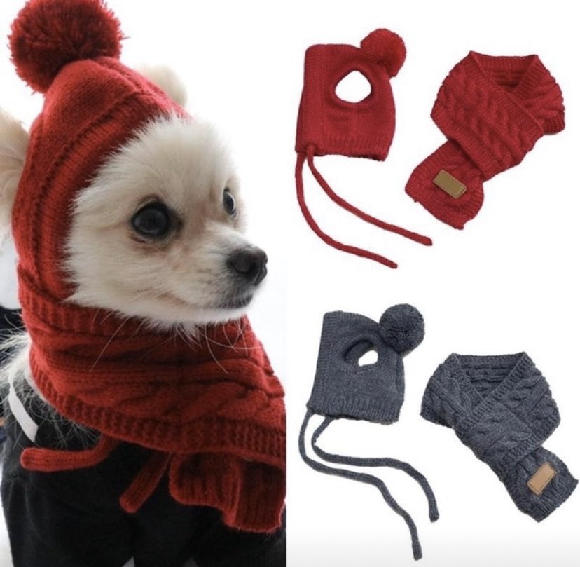 DOGS WITH CAPS DOGS WITH CAPS DOGS WITH CAPS