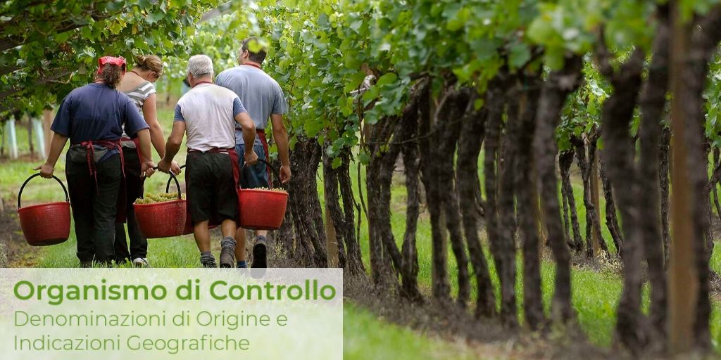 🍇Tracciabilità dei vini | DOC o IGT
Ogni bottiglia di vino #trentino “DOC o IGT” ha una storia da raccontare. L' #OrganismodiControllo della #CCIAA di Trento, oggi ti permette di avere questa storia a portata di clic 🍷🍾🥂
👉 bit.ly/2s7vuwb 

#vino #winelover