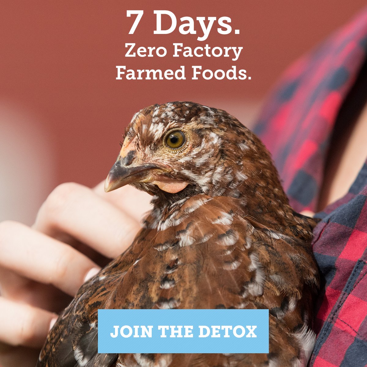 sirkensingtons's tweet photo. This January, join us and the @ASPCA in eliminating factory-farmed products from your diet for one week! Sign up for their #FactoryFarmDetox at https://t.co/qX0KbKTE8U #ShopWithYourHeart https://t.co/AO588dUQa7
