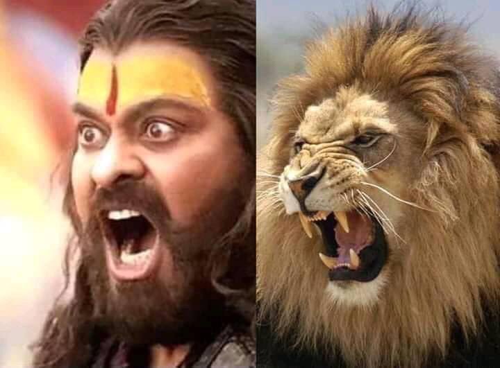 Icon_StAAr_Rule's tweet photo. సింధు నాగరికత కి అడ్డా
అత్రంజి ఖేరా
సీమ సంస్కృతి కి అసలైన బిడ్డ
అరివీర భయంకర సైరా!!
🔥🔥🔥
స్వాతంత్ర్యం కోసం బాంబు చుట్టినోడు భగవతి చరణ్ వోహ్రా!!
స్వాతంత్ర్యం కోసం
జంబూ ద్వీపం లో తొలిసారిగా
జ్వలించే బాంబు లా మారినోడు సైరా!!
#MegastarChiranjeevi
#SyeRaaNarasimhaReddy
#ChiruISM https://t.co/4qMVDJ8gLk
