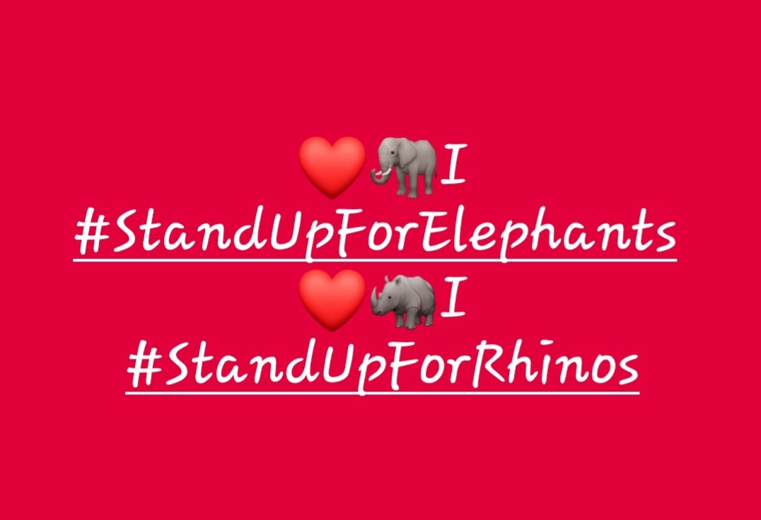 ChrisSand20's tweet photo. ❤🐘 I #StandUpForElephants 
❤🦏 I #StandUpForRhinos

🌍 #LetAfricaLive   #elephant 
#WeDontHaveTime 
#YearOfTheElephant 🐘❤ https://t.co/n4KegOHFDd