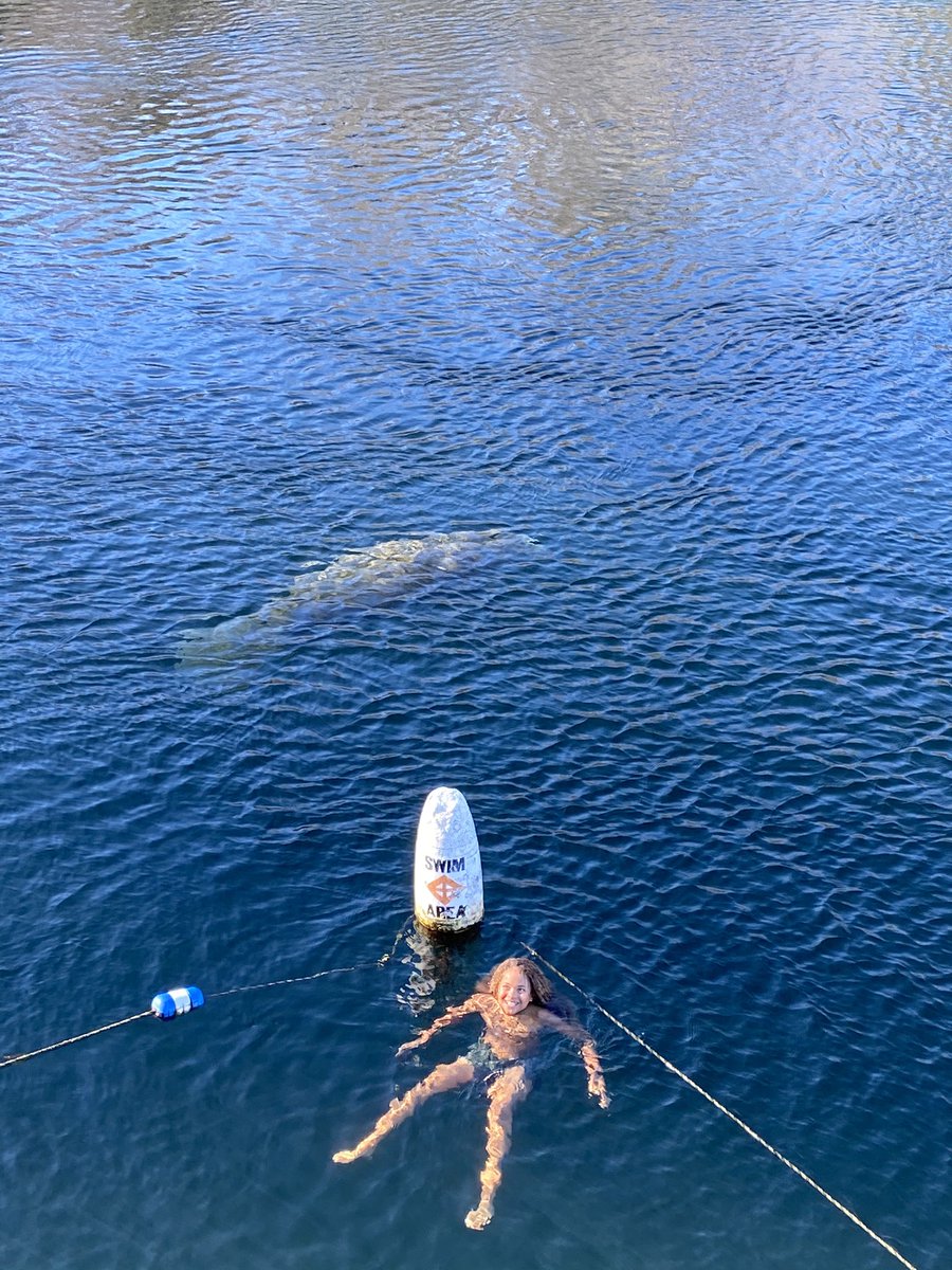 Levi Draheim tweet media