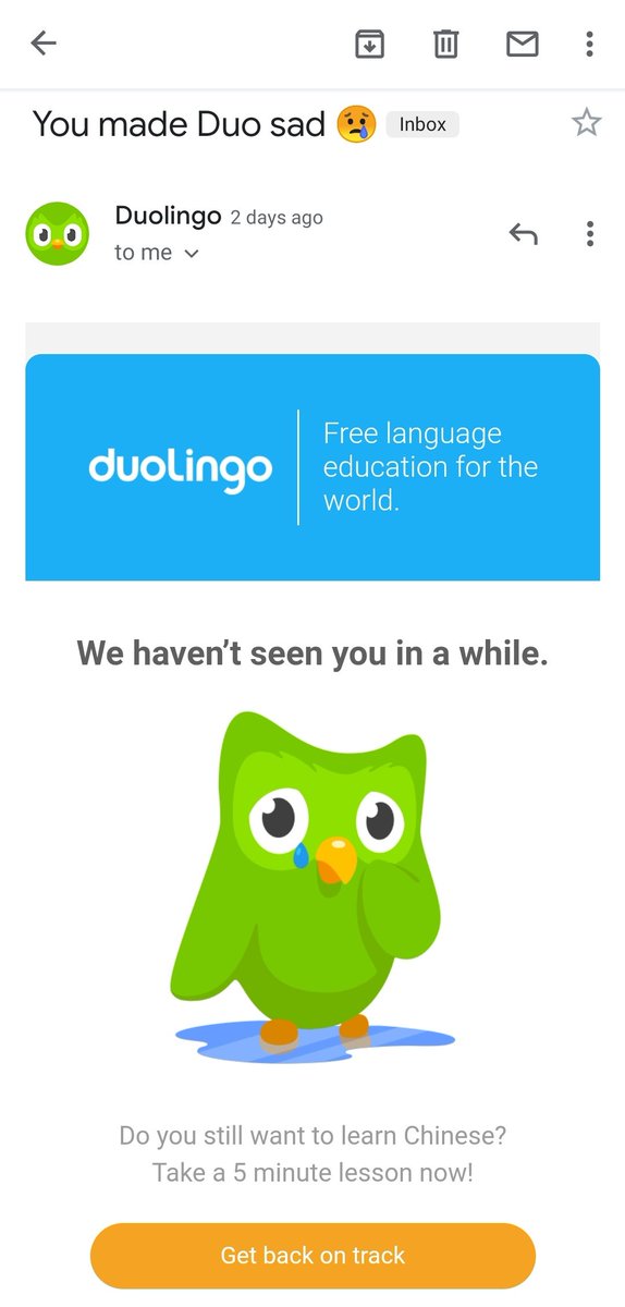 Устал дуолинго. Дуолинго. Сова Дуолинго. Duolingo мемы. Duolingo злой.