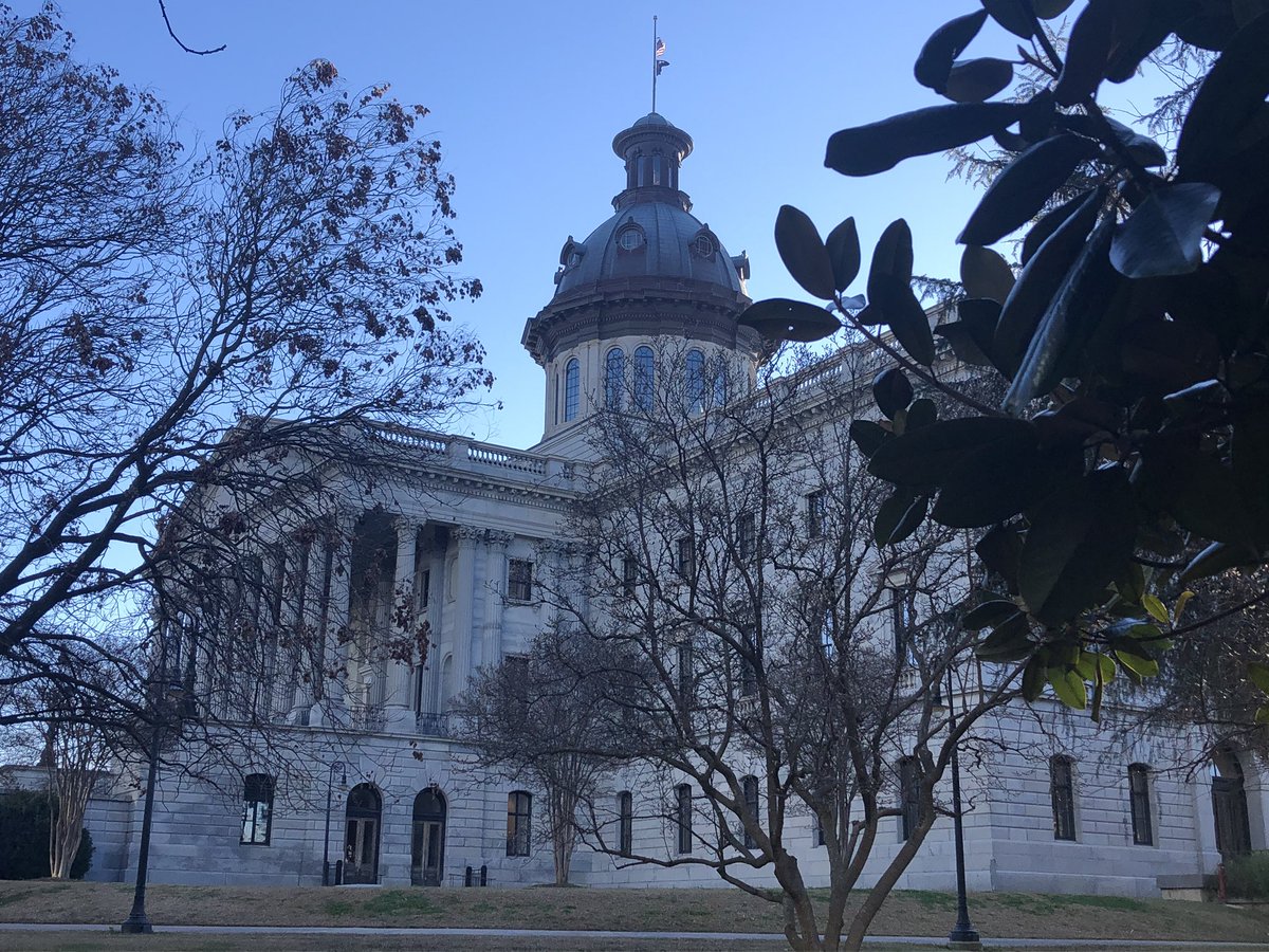 ReneeInSC's tweet photo. In Columbia, SC today for the Legislative Media Workshop - Dusty wanted to come, too #DailyDusty https://t.co/1ibMxkOunF