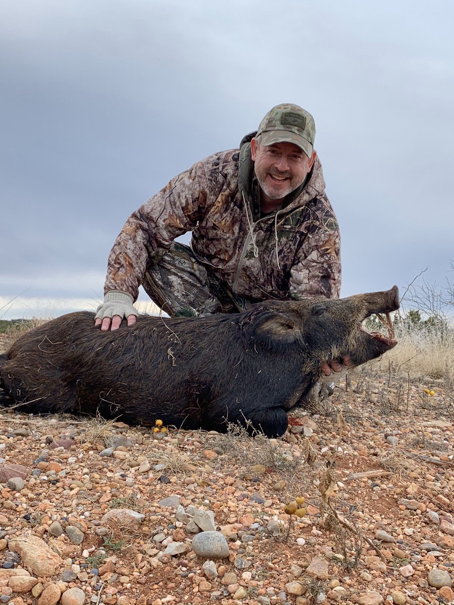 SilkyRP's tweet photo. First experience in Texas and what a fabulous outdoor experience!  #hogcontrol #texashunting #hunter #wisconsin https://t.co/R74AMG039h