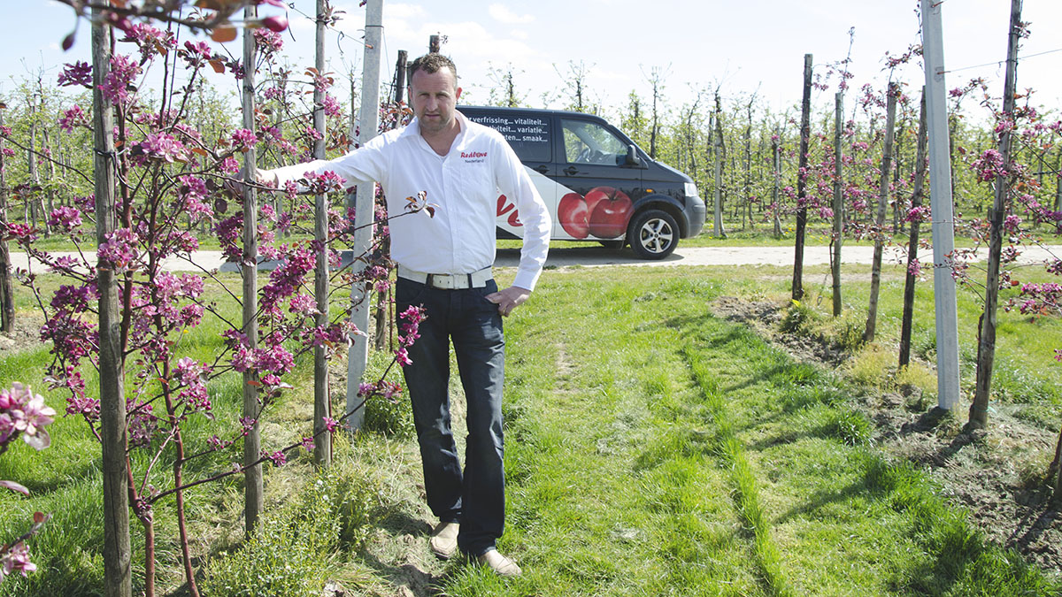 ProvUtrecht's tweet photo. Kringloopagrariër Jacco Merkens uit Werkhoven verbouwt biologische appels en peren en houdt varkens. 'We gebruiken de mest van de varkens opnieuw voor de boomgaard.' Met subsidies van de provincie Utrecht doet hij investeringen. Lees meer op https://t.co/GQf137qe5m https://t.co/HQU734yjHT