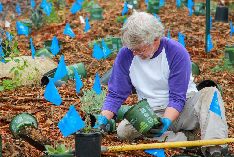 DelSolMagazine's tweet image. Volunteers Needed for Habitat Restoration Project delsolmagazine.com/2020/01/09/vol…