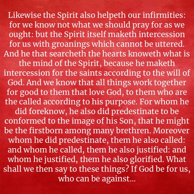 CallRaymond's tweet image. bible.com/1/rom.8.26-31.…