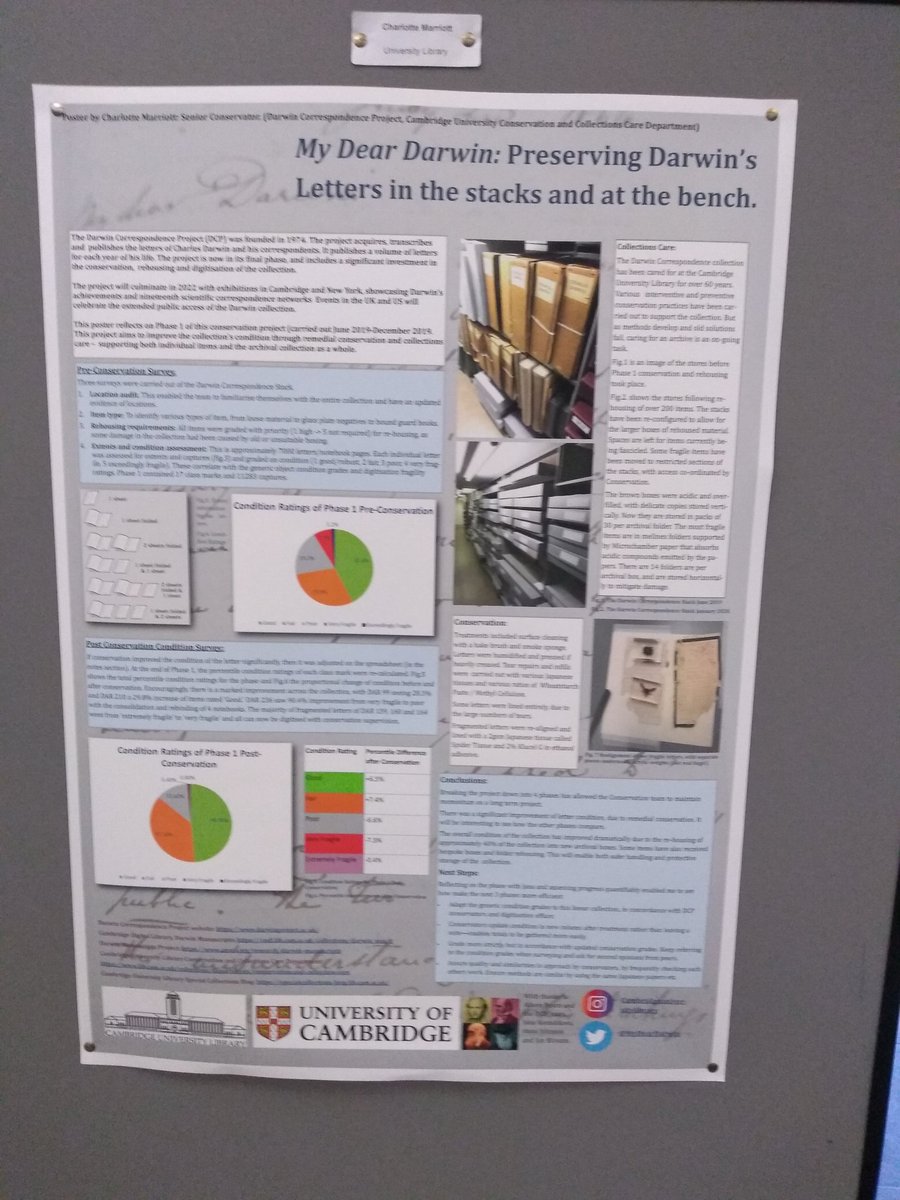 #CamLibs2020 Inspiring poster on conservation for <a href="/theUL/">Cambridge University Library</a>'s #Darwin correspondence project - amazing skill and dedication