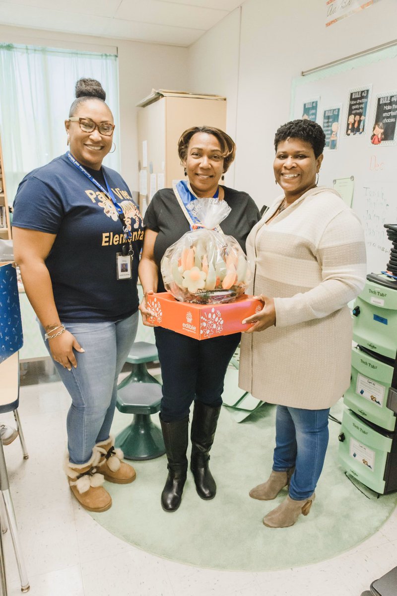 Park View Tigers tweet media