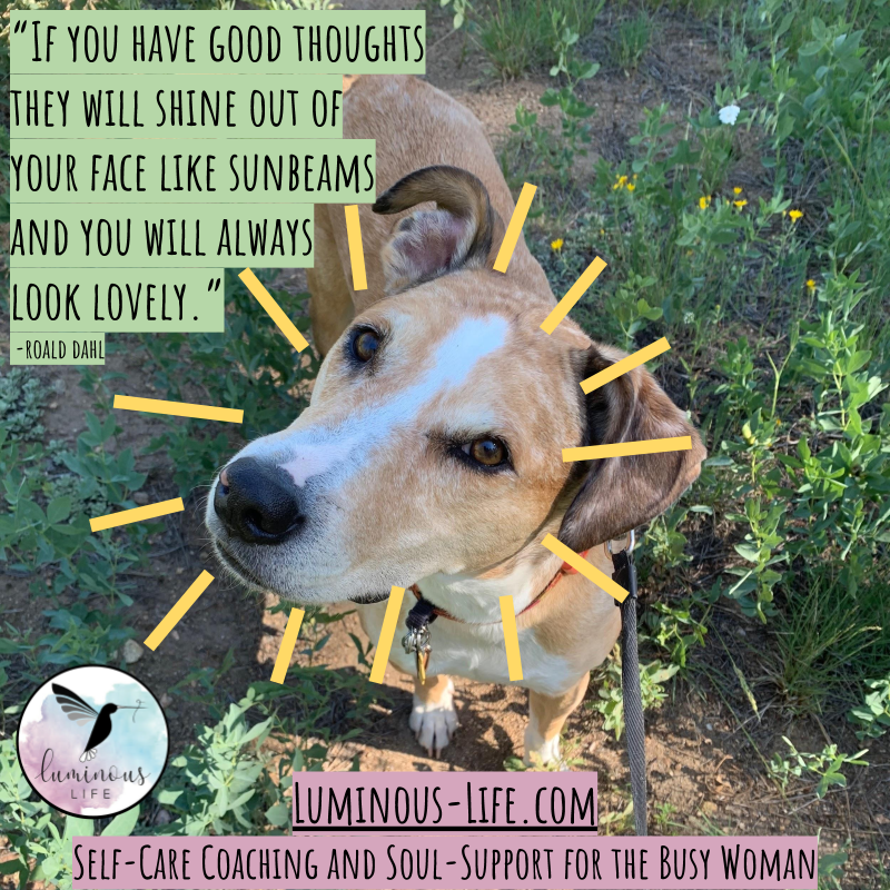 LuminousLifeInc's tweet photo. 💕 LU-GRAM! 🐕
➡ https://t.co/tZUmY3eCrs (home of HEY YOU... THUNDER THiGHS!)
#HeyYouThunderThighs #luminouslifeinc #lifecoach #youareready #youbelonghere #youarenotalone #joyactivist #lulularoogram #lugram https://t.co/TzbMlQAJBT