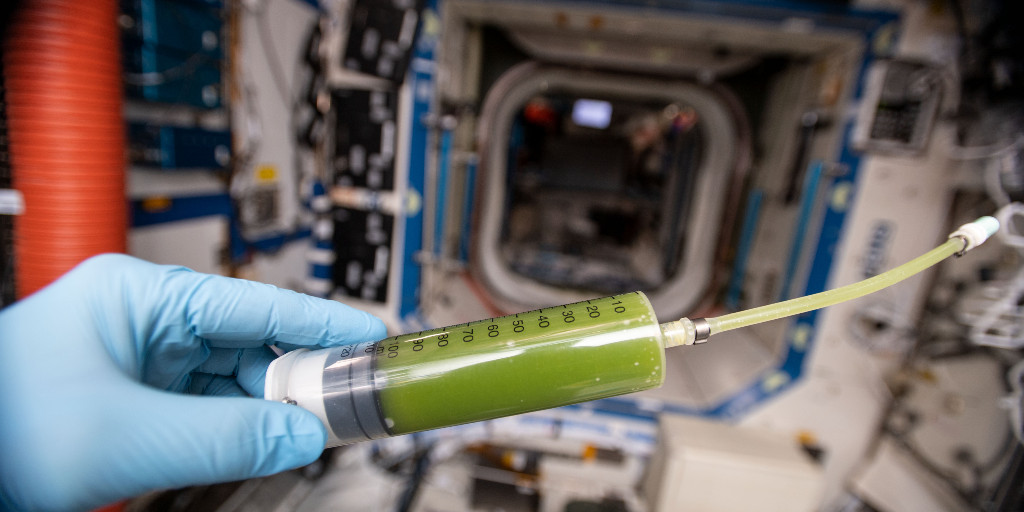 #Algae from #Stuttgart on the #ISS! This was taken last year, after our photobioreactor experiment was taken into microgravity. 
If you want to know more, our Dr. Gisela Detrell gave an interview on BBC Radio! Find it here: bbc.co.uk/sounds/play/m0… (timestamp: 18:20min-21:20min)