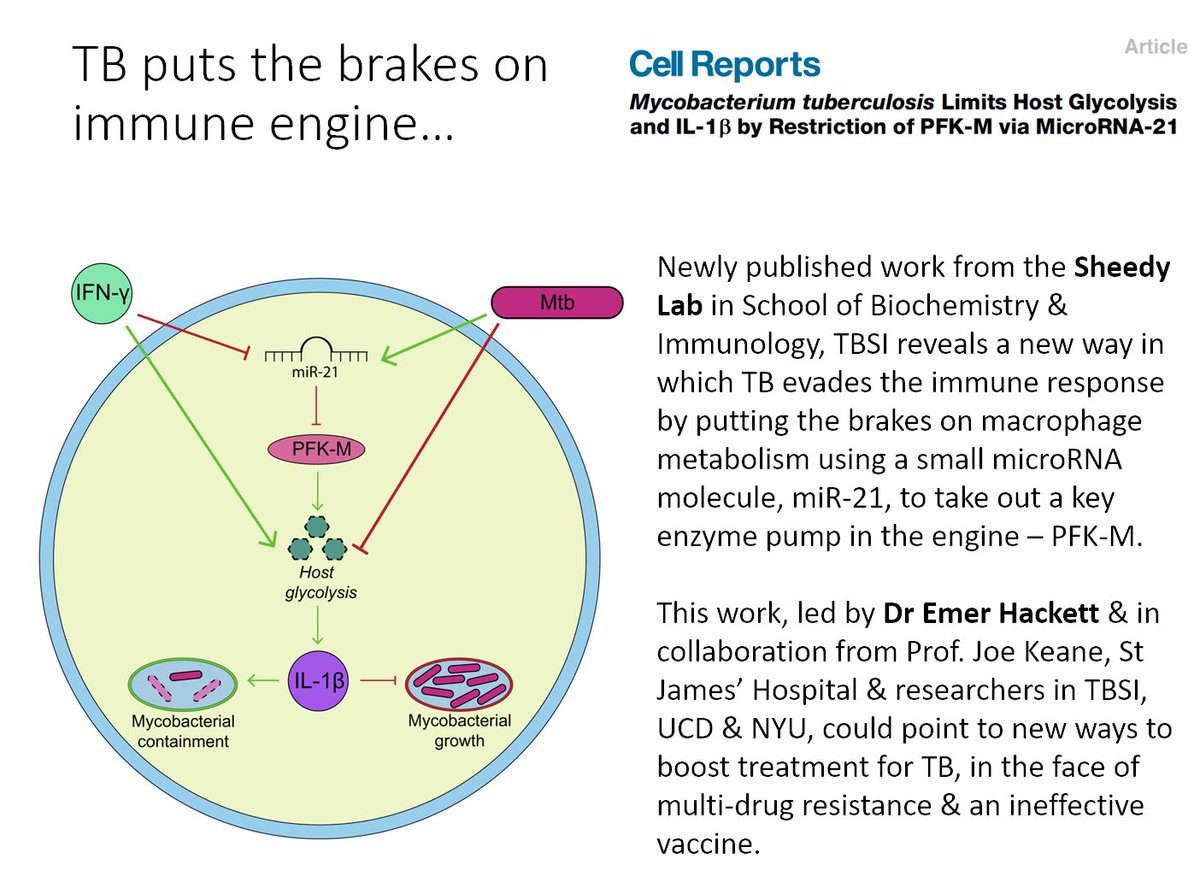 Congrats to the Sheedy lab!