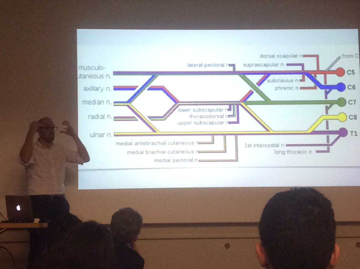 Benjamin Jacobs (@vitamindneeds) on Twitter photo Mr Tom Quick explaining arm function so clearly at the RNOH GR this evening Mr Tom Quick explaining arm function so clearly at the RNOH GR this evening