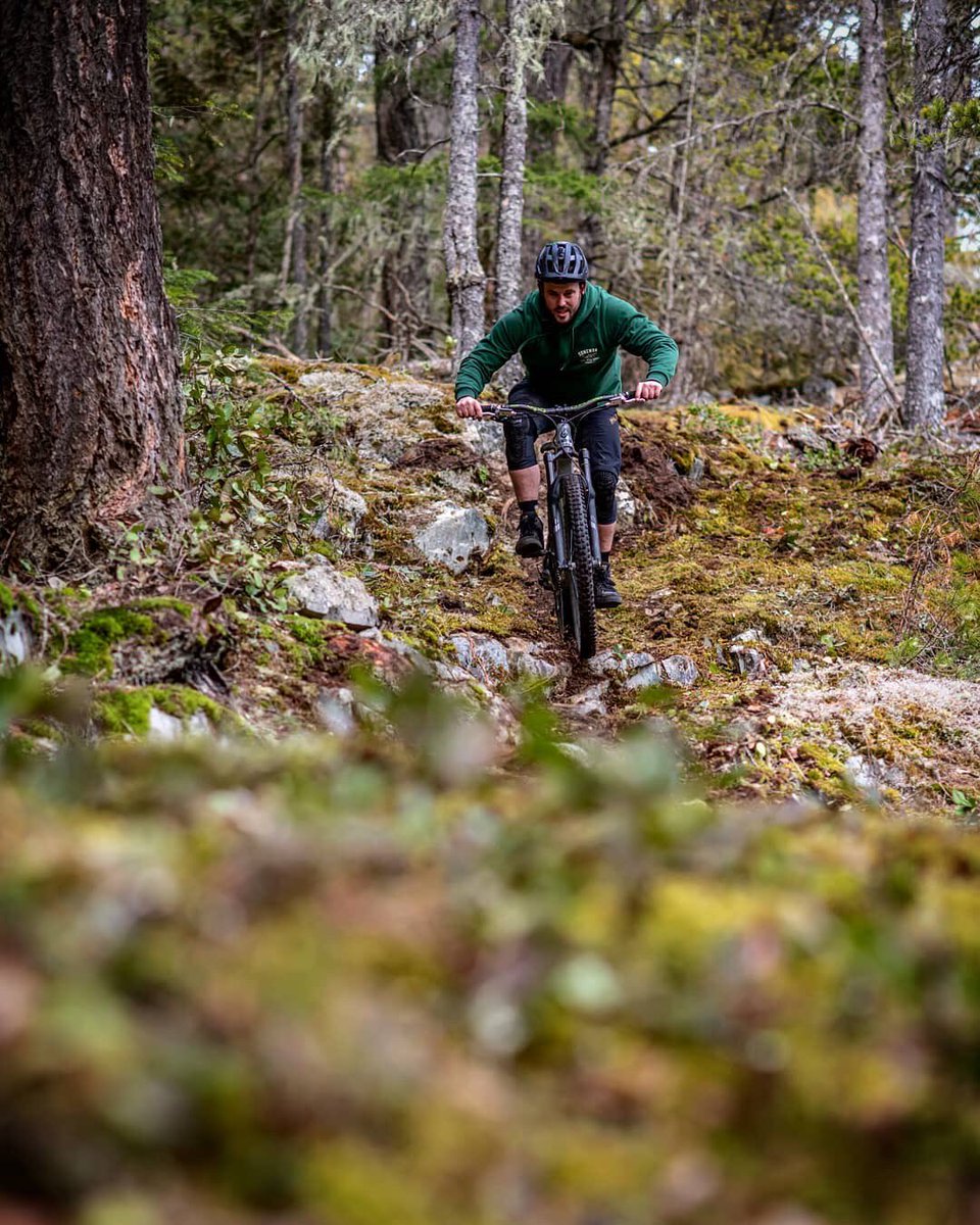 loamcycling's tweet photo. Fun in the woods with Loam Coffee Team Rider Justin Hodgson.

📷 Brendon Purdy
#mtb #mtblife #evolvebikes #loamcoffee #enduromtb https://t.co/68pxd2EcVW