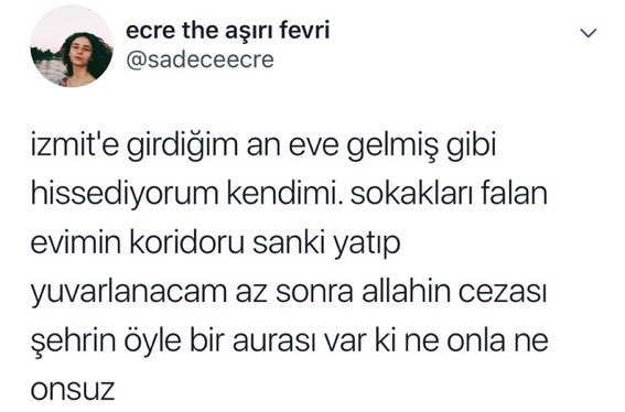 Nesini seviyorsun hiçbir sey yok denilince ben de aynen bu cümleleri kuruyorum<33333