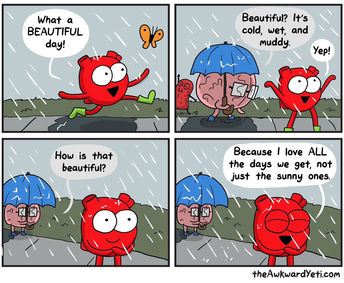 theawkwardyeti's tweet photo. https://t.co/iU5QnYeRNo