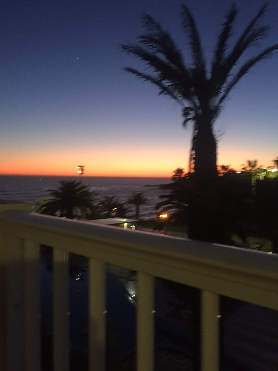 LilyIsabelJones's tweet photo. 2020 https://t.co/kmUyXXxpJp