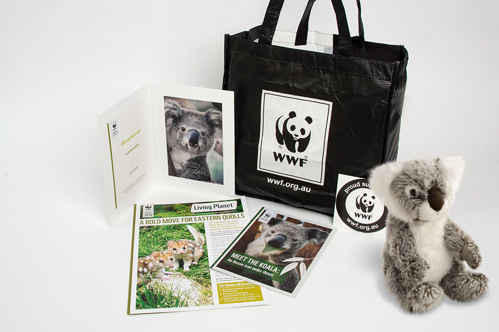 one7thS's tweet photo. 승우 이름으로 WWF에게 작은 마음을 기부했습니다. 
기부금은 호주 산불 인해 상처 입은 야생동물에게 소용됩니다. 
또 승우 이름으로 귀여운 코알라 한마리 입양했습니다. 후에 입양 선물 받게 됩니다. 
의미 있는 활동이어서기회가 되면 이 작은 선물 승우에게 전달하겠습니다. 

#한승우 https://t.co/Dtg6575JL9