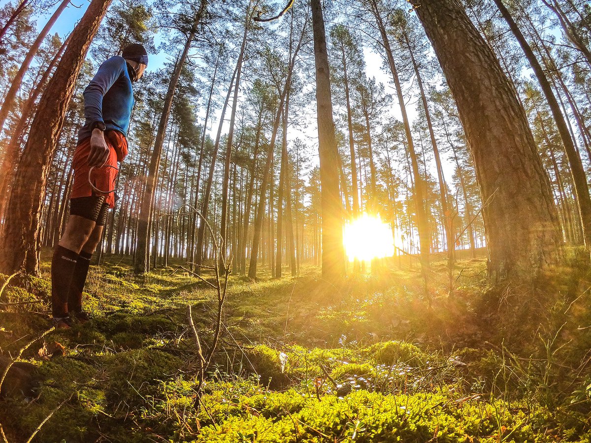 AnzeCesen's tweet photo. Peaceful 🏃🏻☀️🌲🌿🌱 #TimeToPlay #Gopro @GoPro @suunto @urarnalecnik @SalomonSports @SalomonRunning @run_renewables @Run_and_travel @runtagit @GoPro @RudyProject1985 #SuuntoRun #RunTheOne https://t.co/XRIiLQbDkv