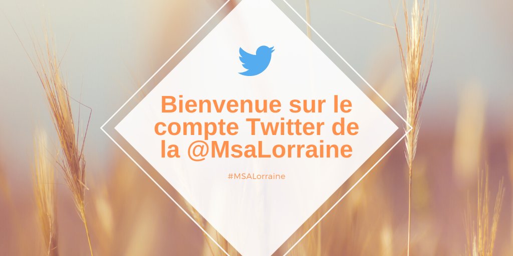 MsaLorraine's tweet photo. 📣 La #MSALorraine arrive sur Twitter ! Restez informés de l’actualité de la #protectionsociale agricole et suivez nos actions sur les territoires lorrains !
#Agriculture #Lorraine #Notrepremiertweet 🐣 https://t.co/E60s5QHv84