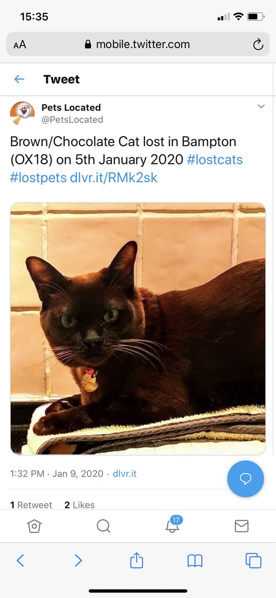AmeliamsJordan's tweet photo. @riverlevel_0272 please could you retweet a post about our beloved cat who has gone missing? Many thanks https://t.co/4rg3dwWbqD