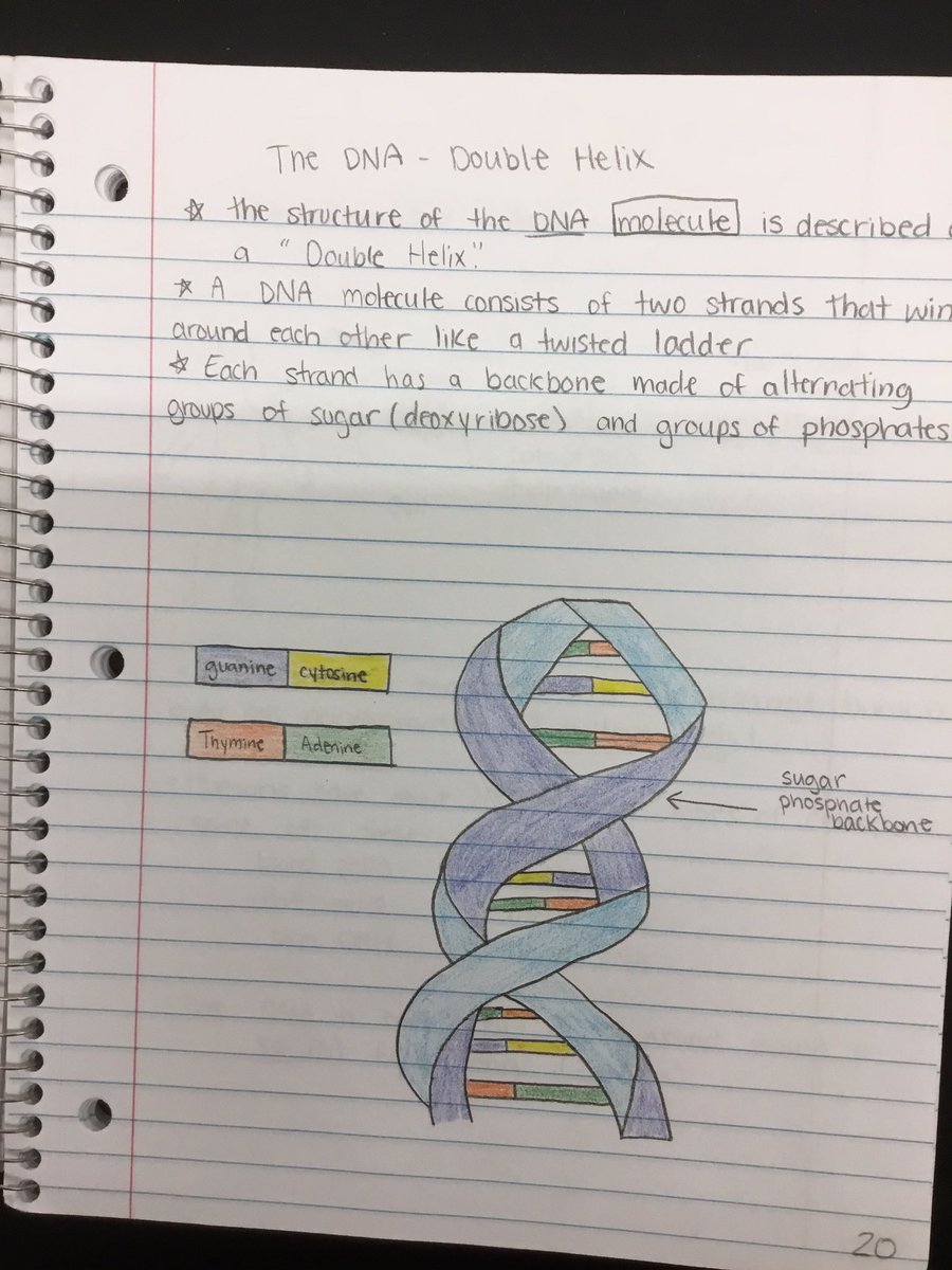 PepScienceSpot's tweet photo. End of marking period notebook collection-the “old school teacher” in me loves when students take neat, creative & organized notes! #Bermbuzz #Bermlearns #PepScienceSpot #grade9science #InteractiveScienceNotebook https://t.co/DXjLCyUF8e