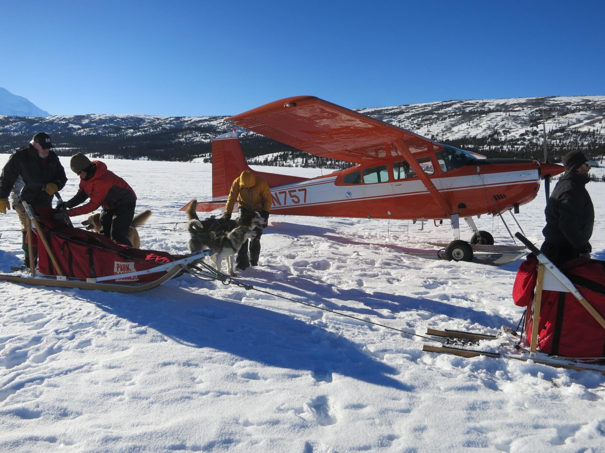 Rangers work with a sled dog team near an airplane.