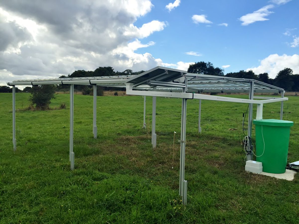 ECT_UK's tweet photo. See ECT's latest blog post from the RainDrop experiment team, with thanks to Laura McManus & Andy Hector: https://t.co/RGbVLRKGOs @oxplantecology @OxfordPlants @WythamWoods @sara_lil_plants @Rob_SalGo @kmaseyk @Biology_OU @UniofOxford #LTER #DroughtNet #grasslands #ClimateChange https://t.co/gpvufSZGd3